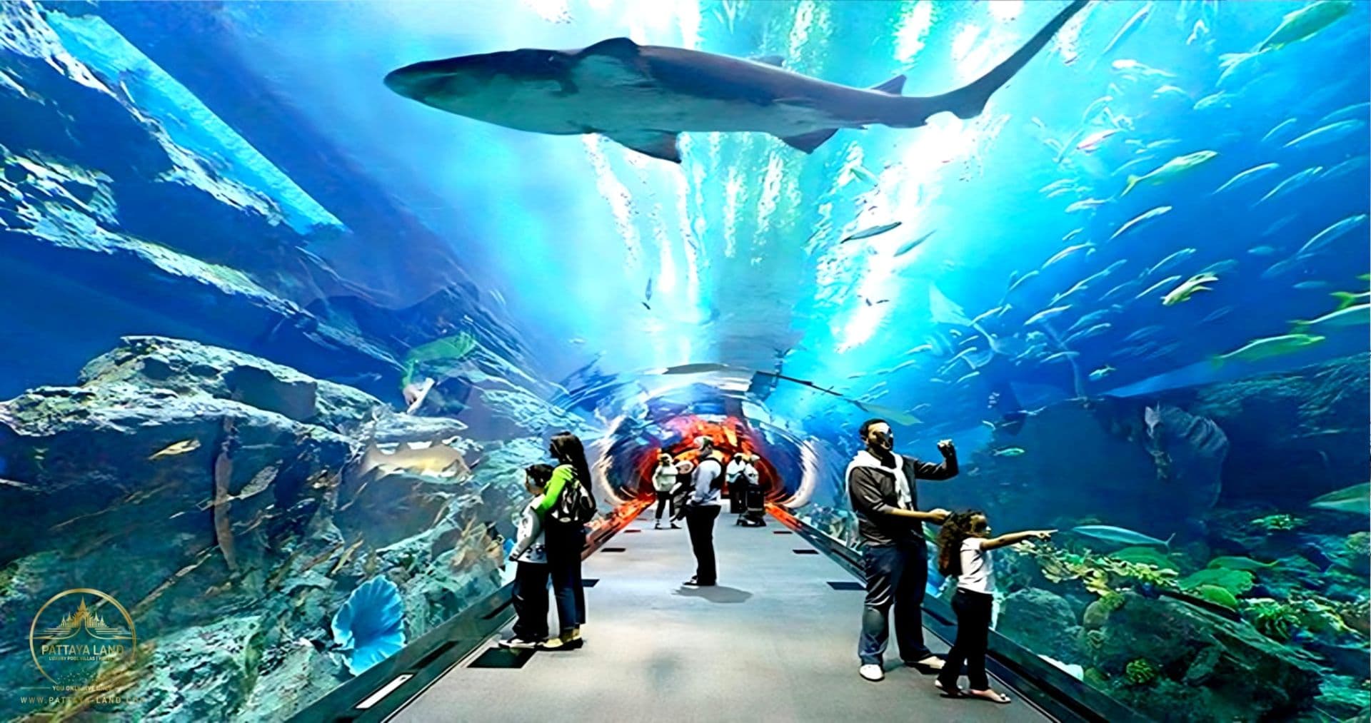 Under Water World