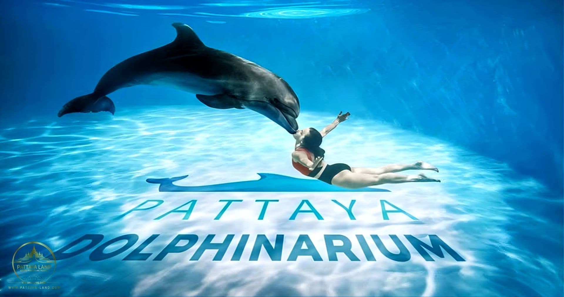 Pattaya Dophinarium