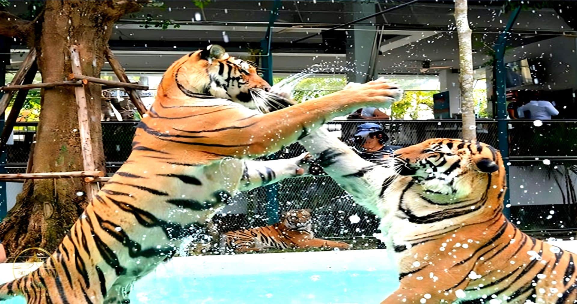 Tiger Park