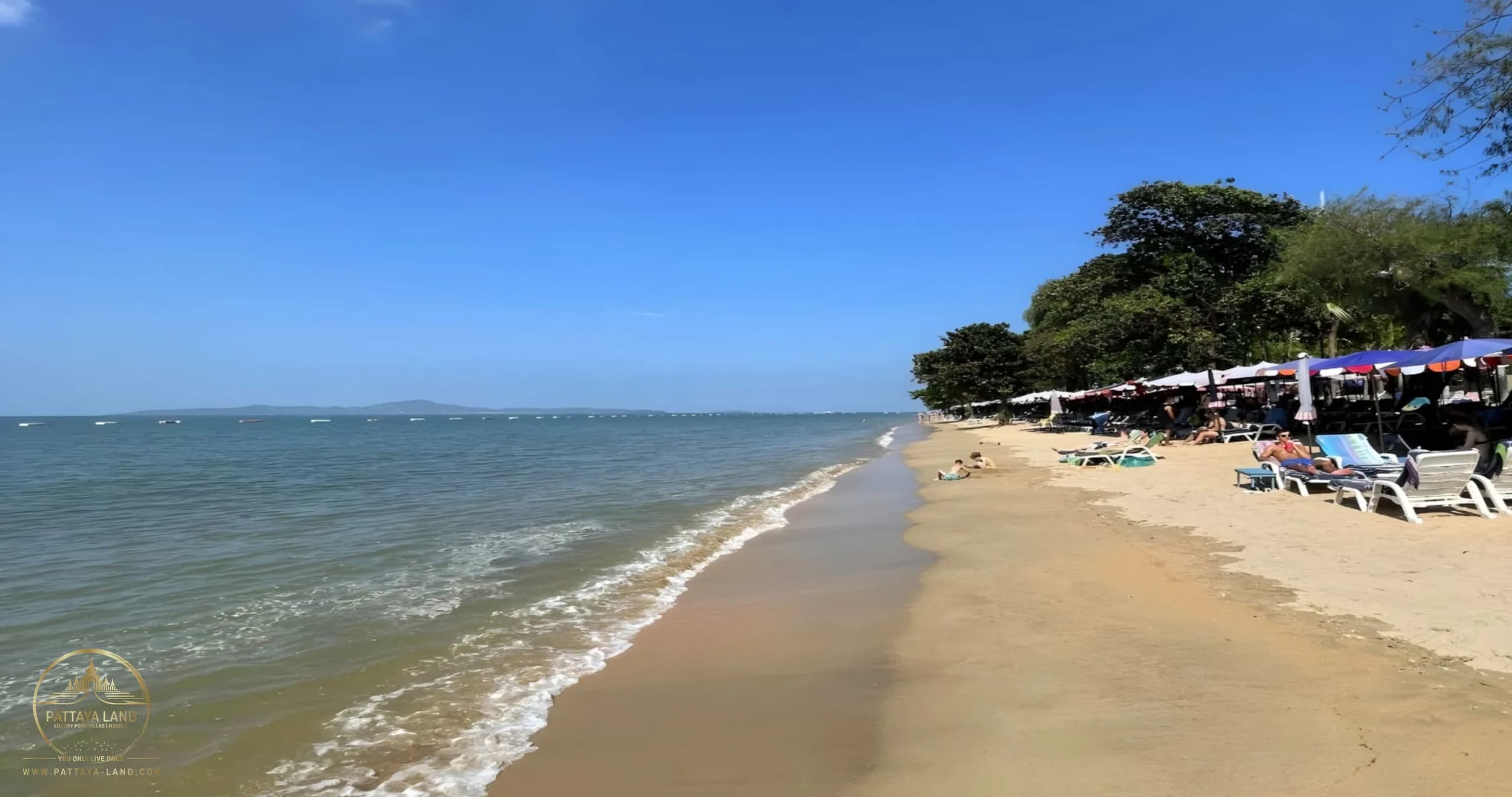 Dongtan Beach