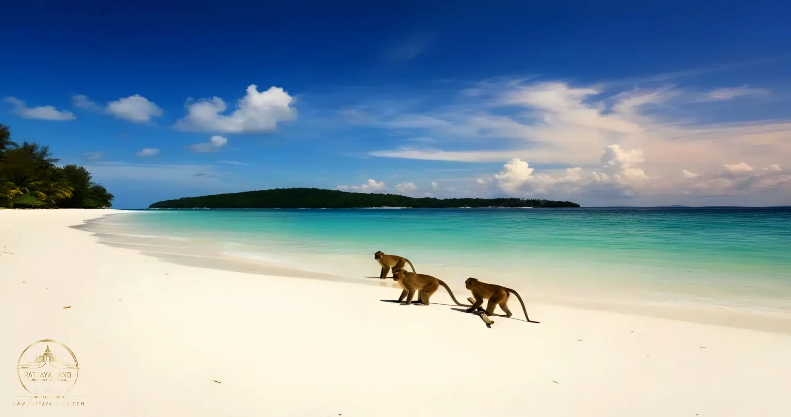 Nual Beach (Monkey Beach), Koh Larn