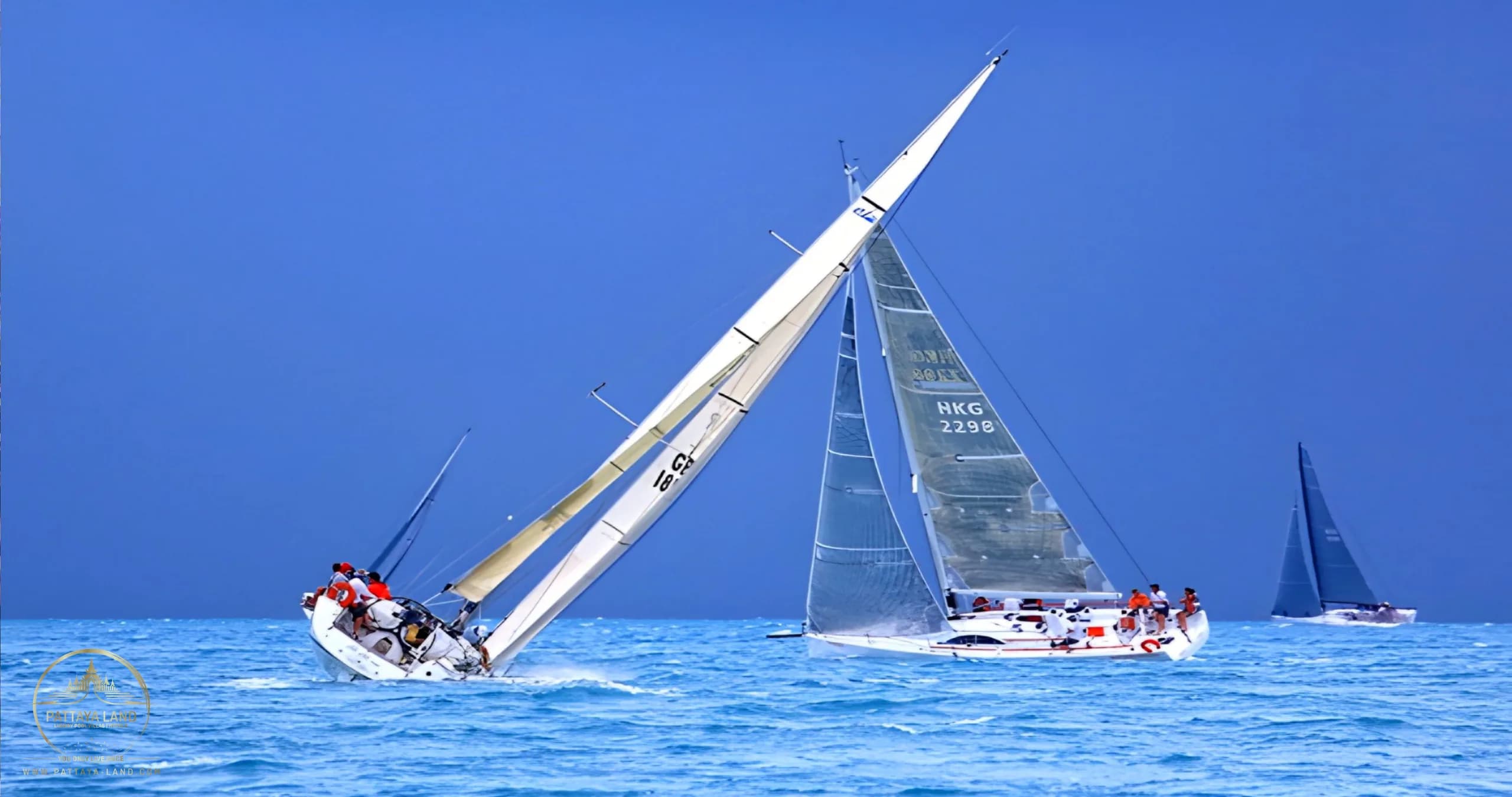 SAMUI REGATTA 蘇梅島帆船賽